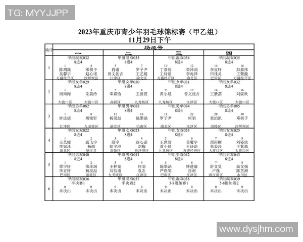 南京羽毛球队与重庆羽毛球队赛后分析个人能力对比与表现总结 南京羽毛球队与重庆羽毛球队赛后分析个人能力对比与表现总结