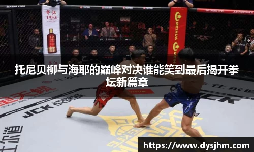 托尼贝柳与海耶的巅峰对决谁能笑到最后揭开拳坛新篇章